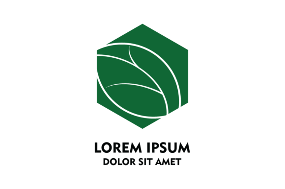 580x386 Hexagon Company Logo Vector Graphic