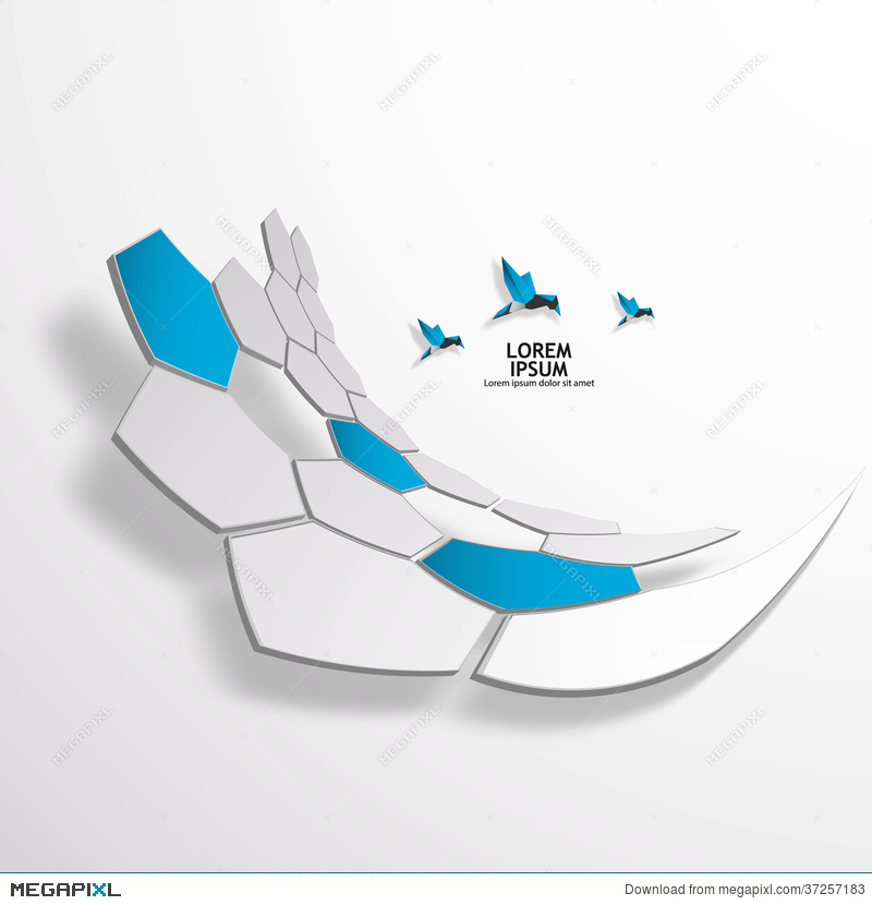 800x830 Hexagon Vector Logo Design Template Illustration