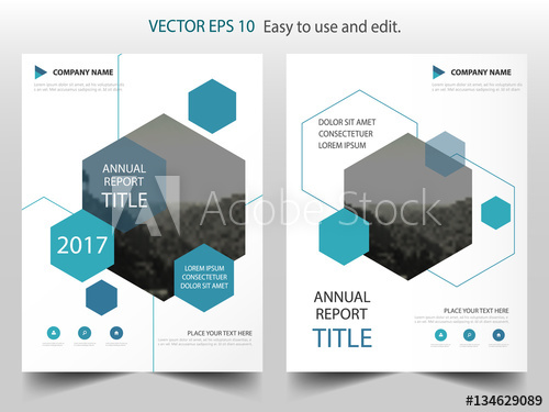 500x375 Blue Hexagon Vector Business Proposal Leaflet Brochure Flyer