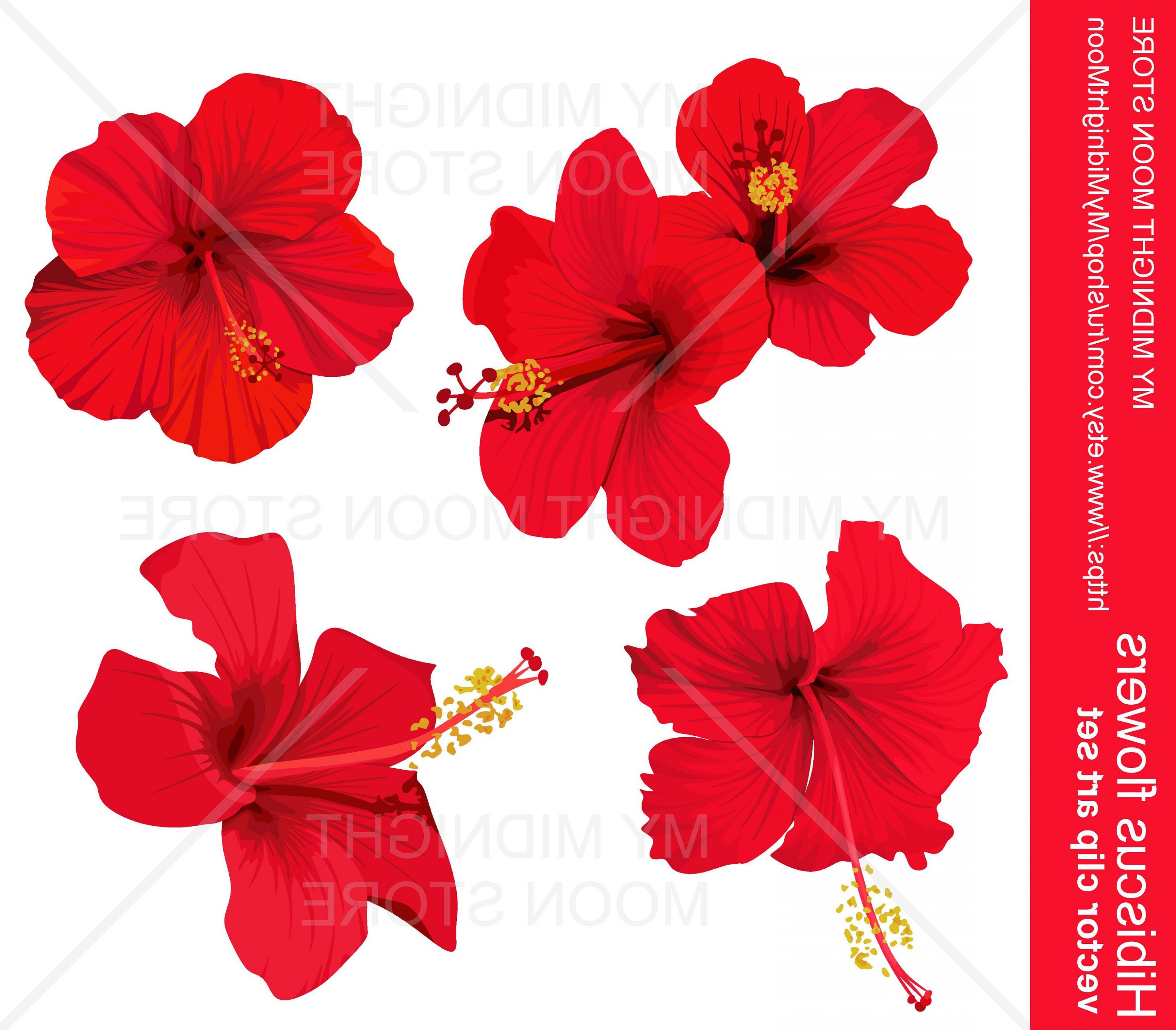Hibiscus Flower Vector Clip Art Digital Soidergi 3600x3153 Hibiscus Flower Vector Clip Art Digital Soidergi