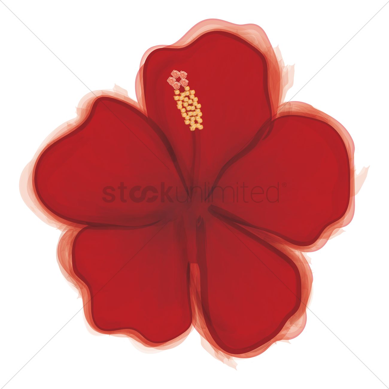 Hibiscus Flower Vector at Vectorified.com | Collection of Hibiscus