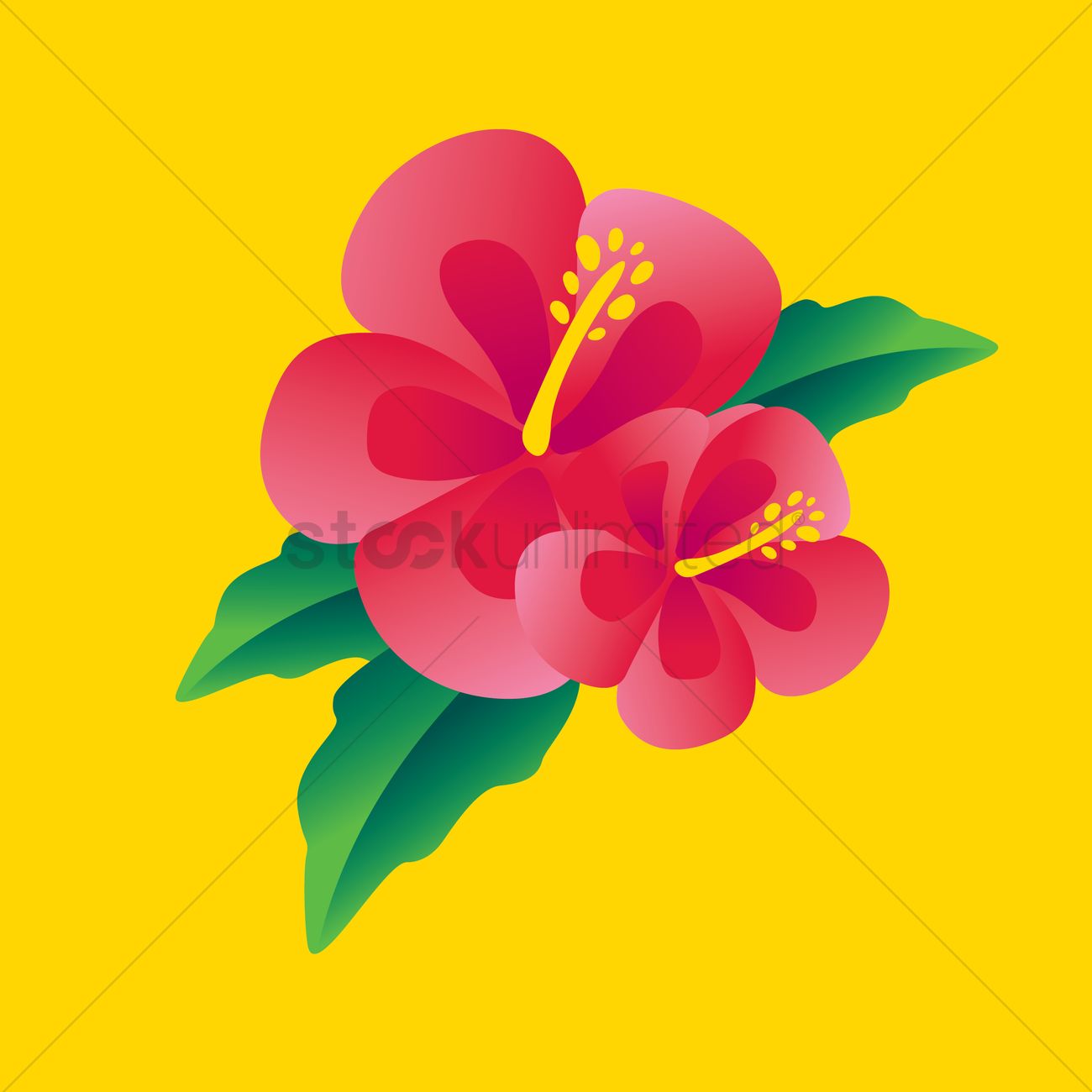 Hibiscus Flower Vector At Vectorified Com Collection Of Hibiscus Flower Vector Free For