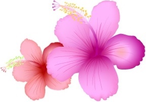 Hibiscus Free Vector Download 287x201 Hibiscus Free Vector Download