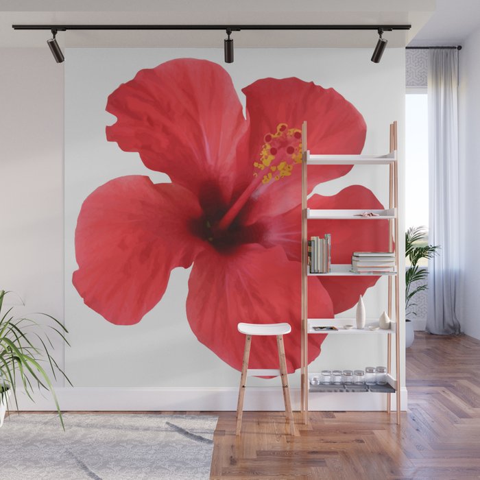Scarlet Hibiscus Tropical Flower Vector Wall Mural 700x700 Scarlet Hibiscus Tropical Flower Vector Wall Mural