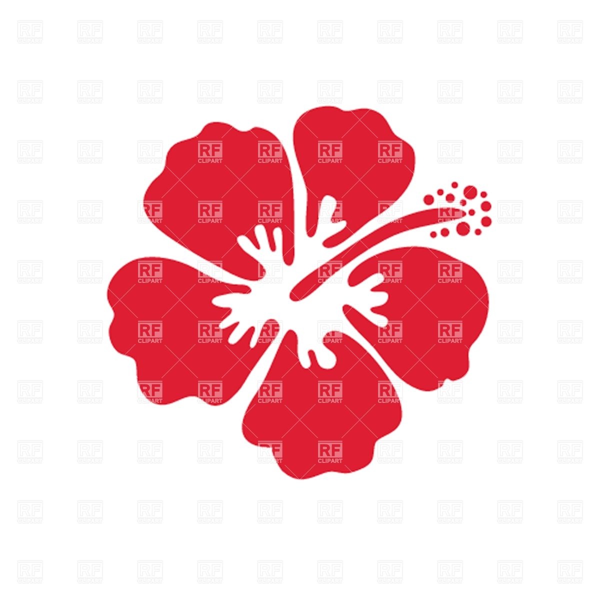 Hibiscus Flower Vector at Vectorified.com | Collection of Hibiscus