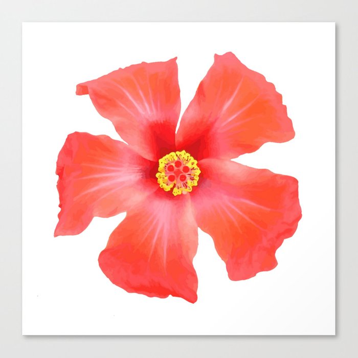 Tropical Hibiscus Flower Vector Canvas Print 700x700 Tropical Hibiscus Flower Vector Canvas Print