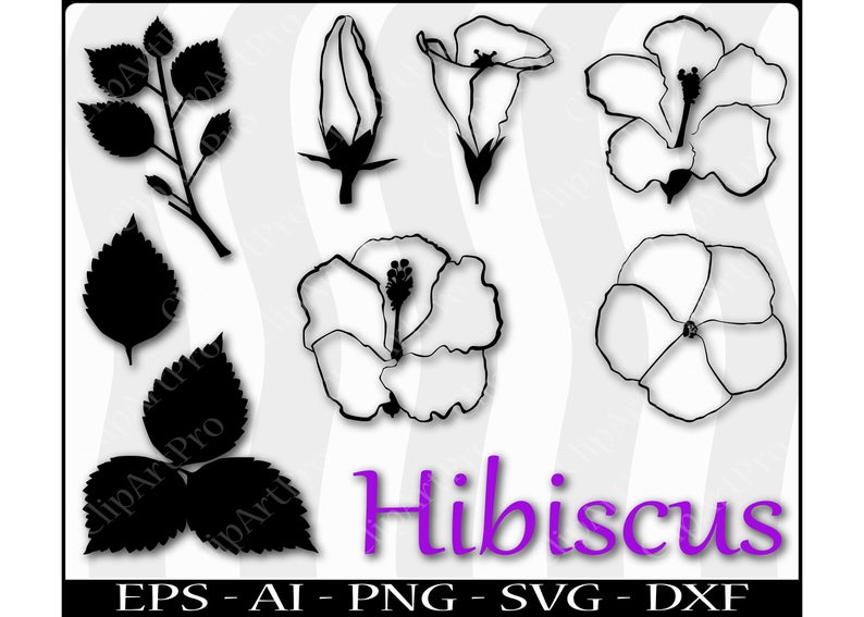 794x567 Hibiscus Flower Graphic Silhouette Cricut Cutout Vector Etsy