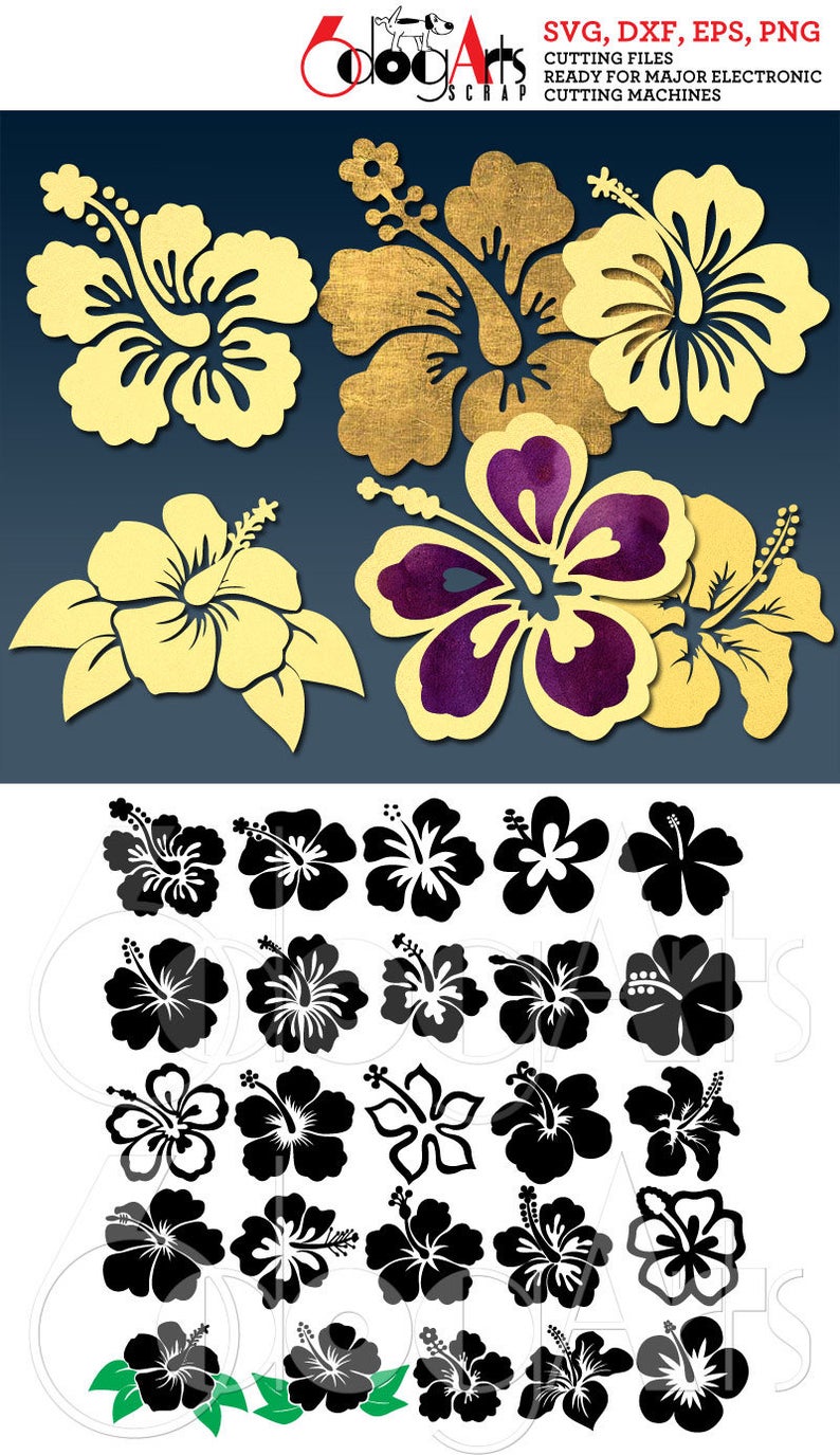 794x1375 Hibiscus Vector Digital Dxf Png Silhouette Etsy