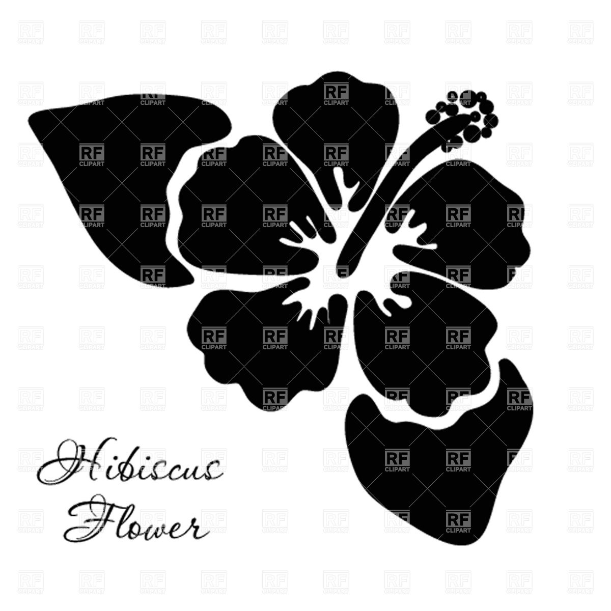 Hibiscus Silhouette Vector At Vectorified Com Collection Of Hibiscus Silhouette Vector Free