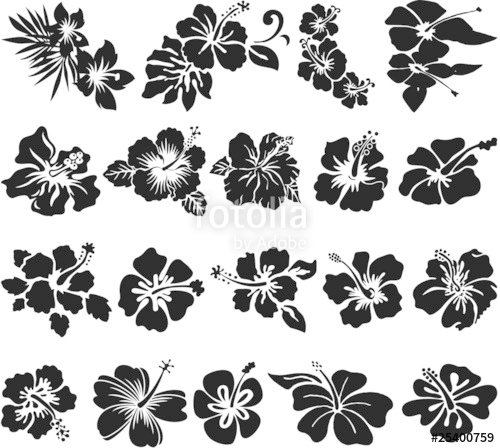 Hibiscus Silhouette Vector at Vectorified.com | Collection of Hibiscus
