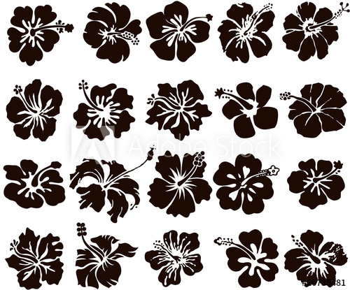 500x415 Hibiscus Flower Silhouettes Set