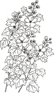 215x368 Hibiscus Free Vector Download