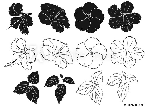 Hibiscus Silhouette Vector at Vectorified.com | Collection of Hibiscus ...