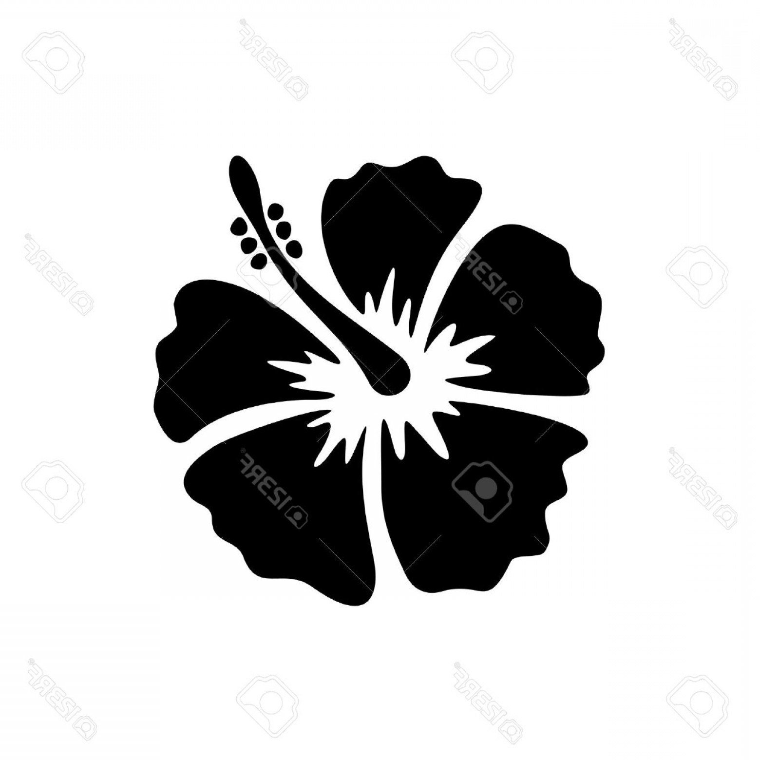 Hibiscus Silhouette Vector At Vectorified Com Collection Of Hibiscus Silhouette Vector Free