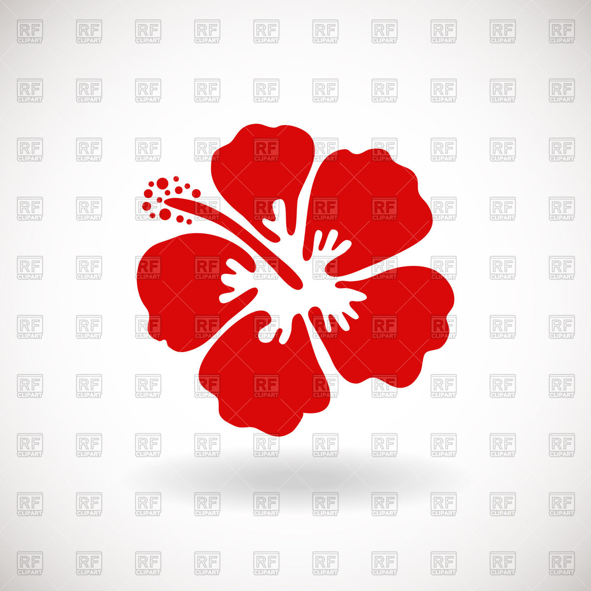 1200x1200 Red Hibiscus Flower On White Background Vector Image Of Plants