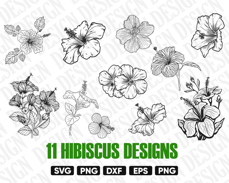 794x635 Hibiscus Flower Floral Clipart Hibiscus Vector Etsy