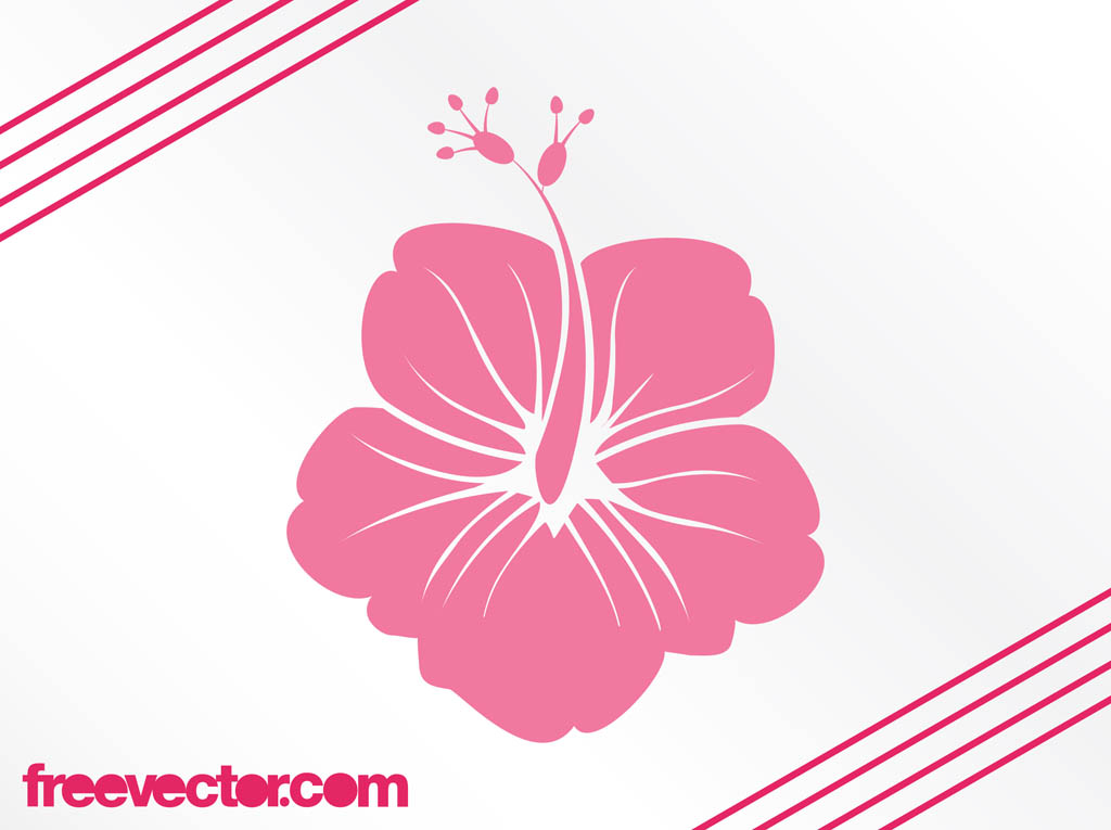 1024x765 Hawaiian Flower Silhouette Vector Art Graphics
