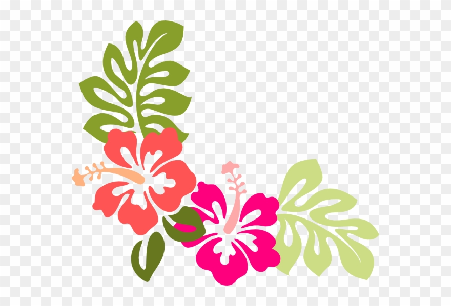 880x598 Hibiscus Clip Art