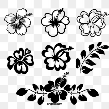 360x360 Hibiscus Png, Vector, And Clipart With Transparent Background