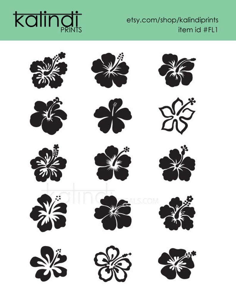 794x1028 Hibiscus Hibiscus Vector Png Etsy