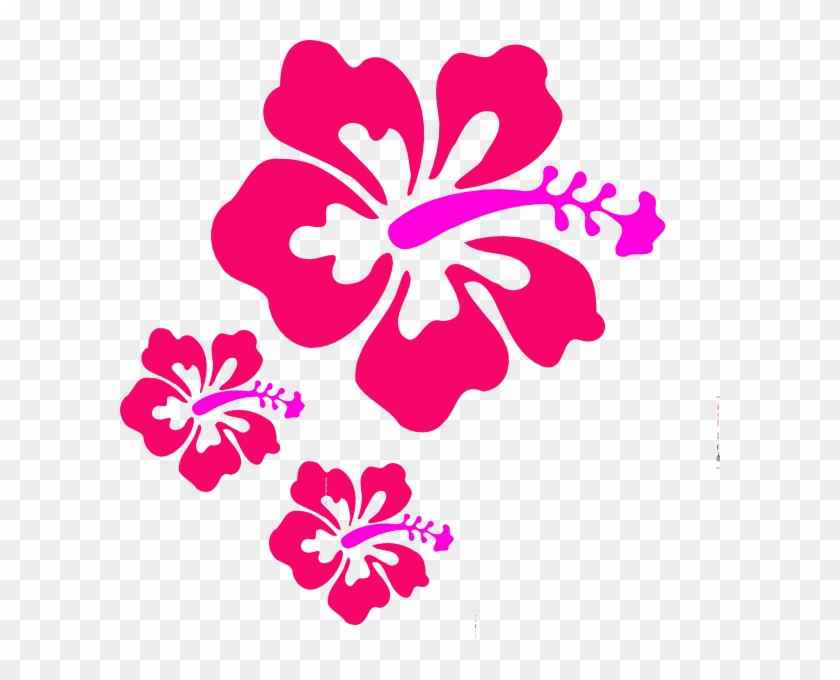 840x680 Hibiscus Vector Free Download
