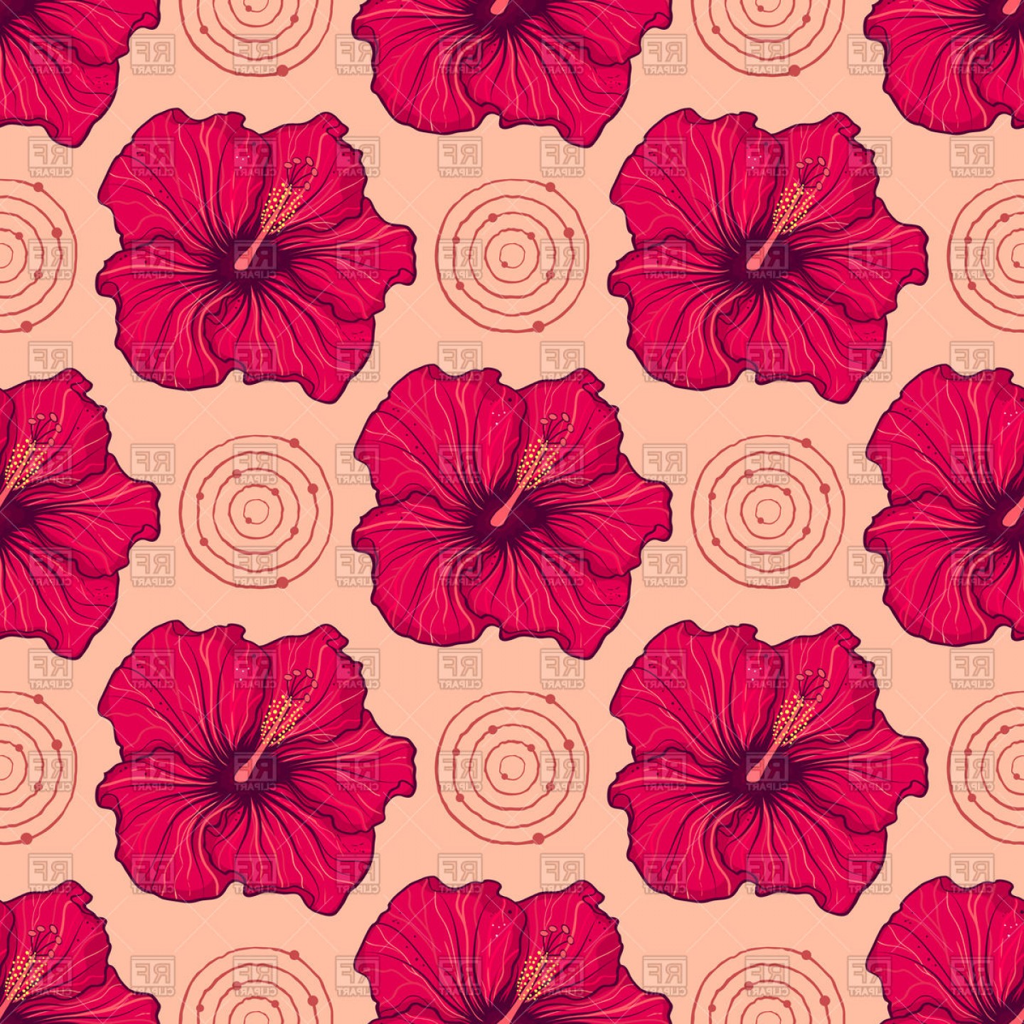 1440x1440 Hibiscus Vector Illustration Hoodamathrun