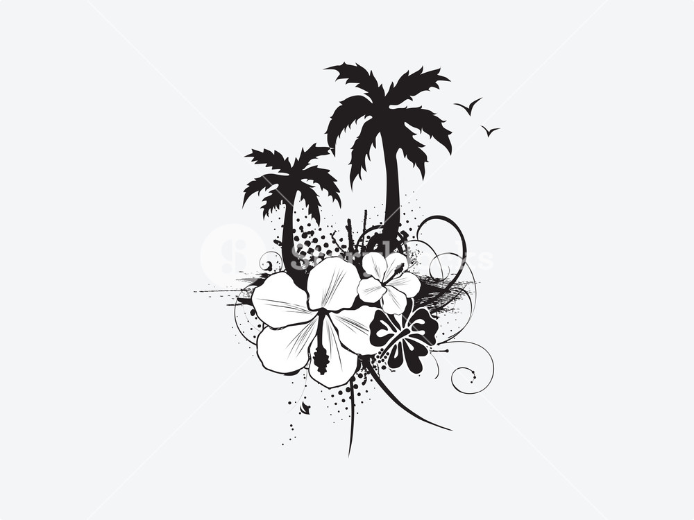 1000x750 Vector Palm Trees With Hibiscus Flowers On White Background