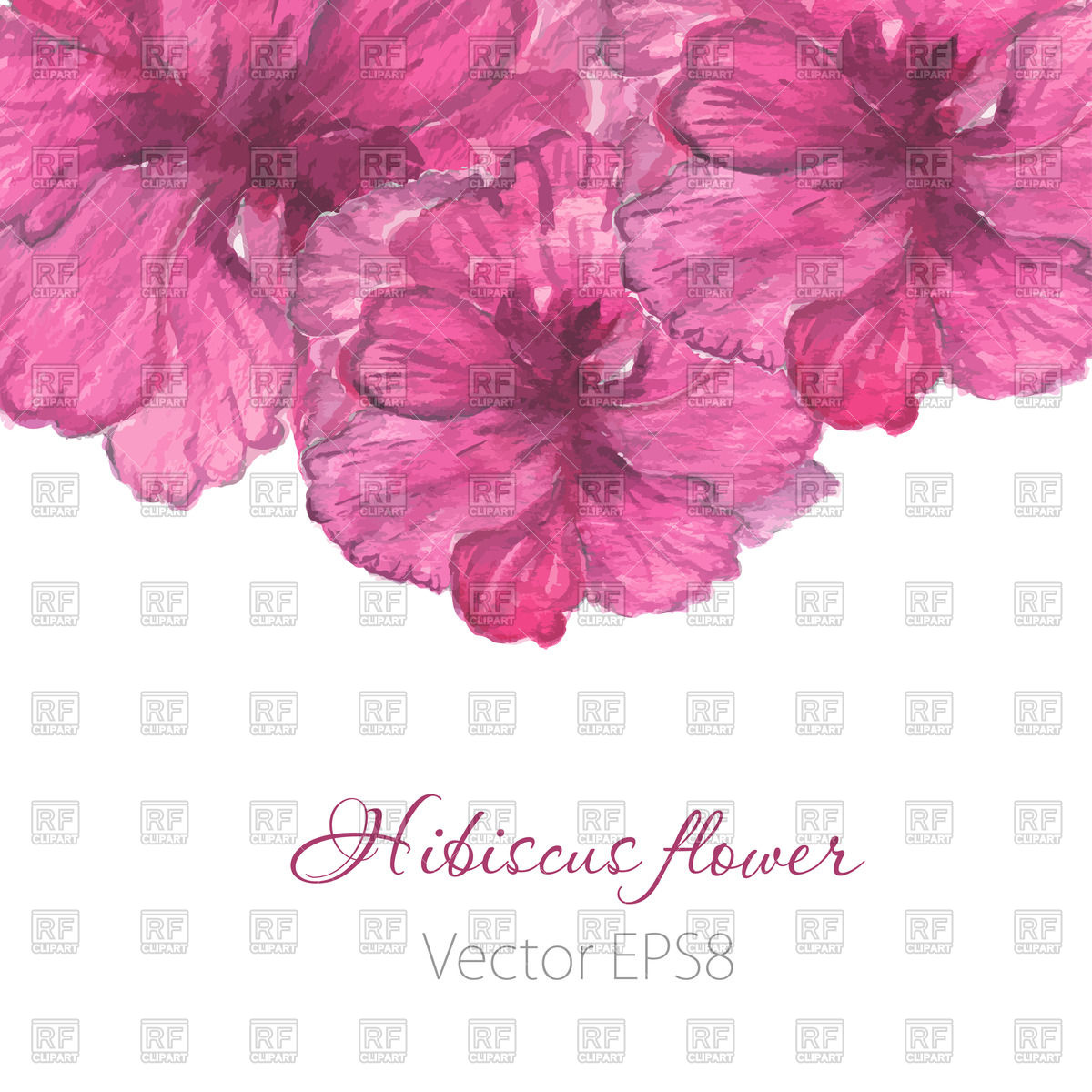 1200x1200 Watercolor Painted Hibiscus Vector Image Of Backgrounds, Textures