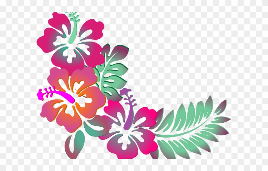 Hibiscus Vector at Vectorified.com | Collection of Hibiscus Vector free ...