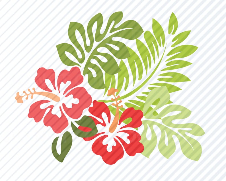 794x635 Hibiscus Flowers For Cricut Vector Images Etsy