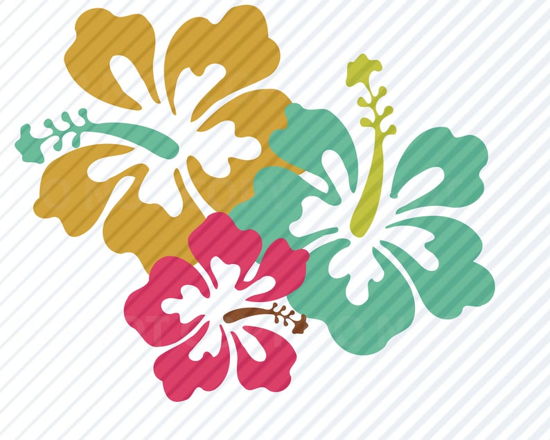 794x635 Hibiscus Flowers For Cricut Vector Images Etsy