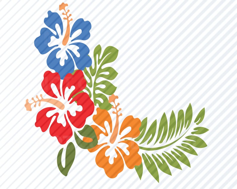 794x635 Hibiscus Flowers For Cricut Vector Images Clipart Etsy