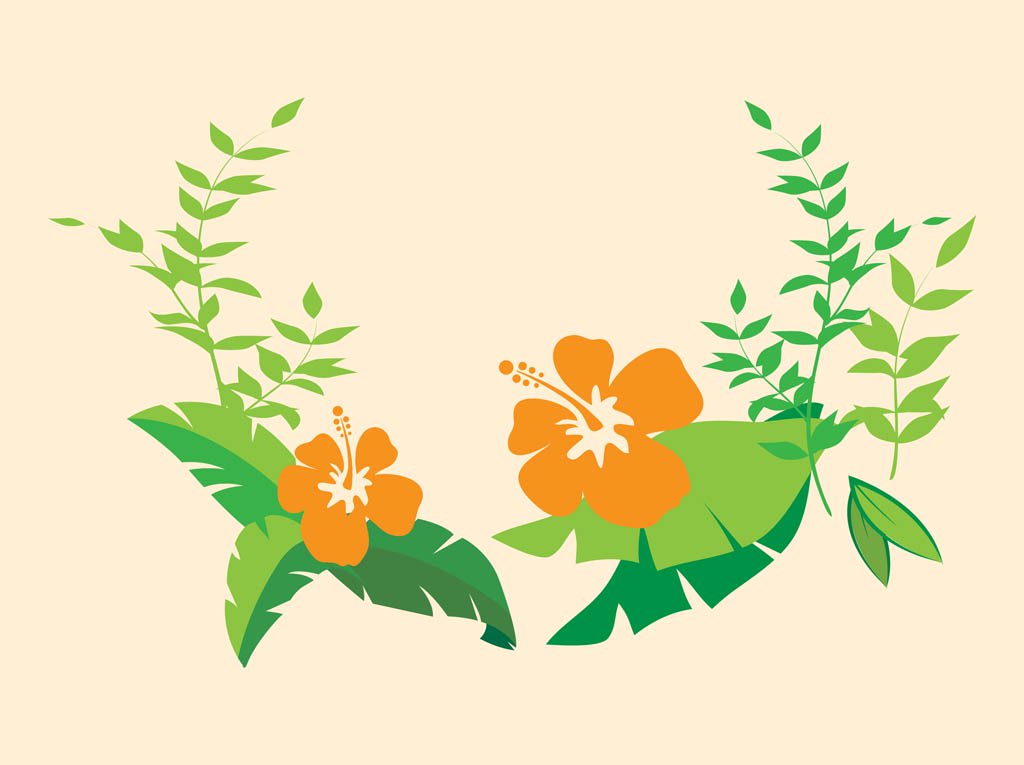 1024x765 Hibiscus Flowers Vector Art Graphics