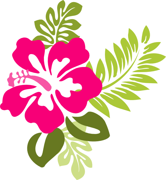 552x599 Hibiscus Flower Vector Art Images