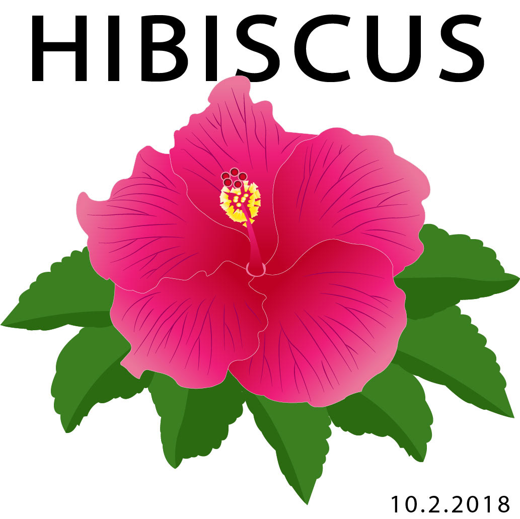 1033x1031 Hibiscus Vector Art On Behance