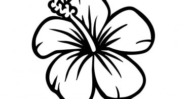 367x195 Hibiscus Drawings Clip Art Free Vector Images Graphics