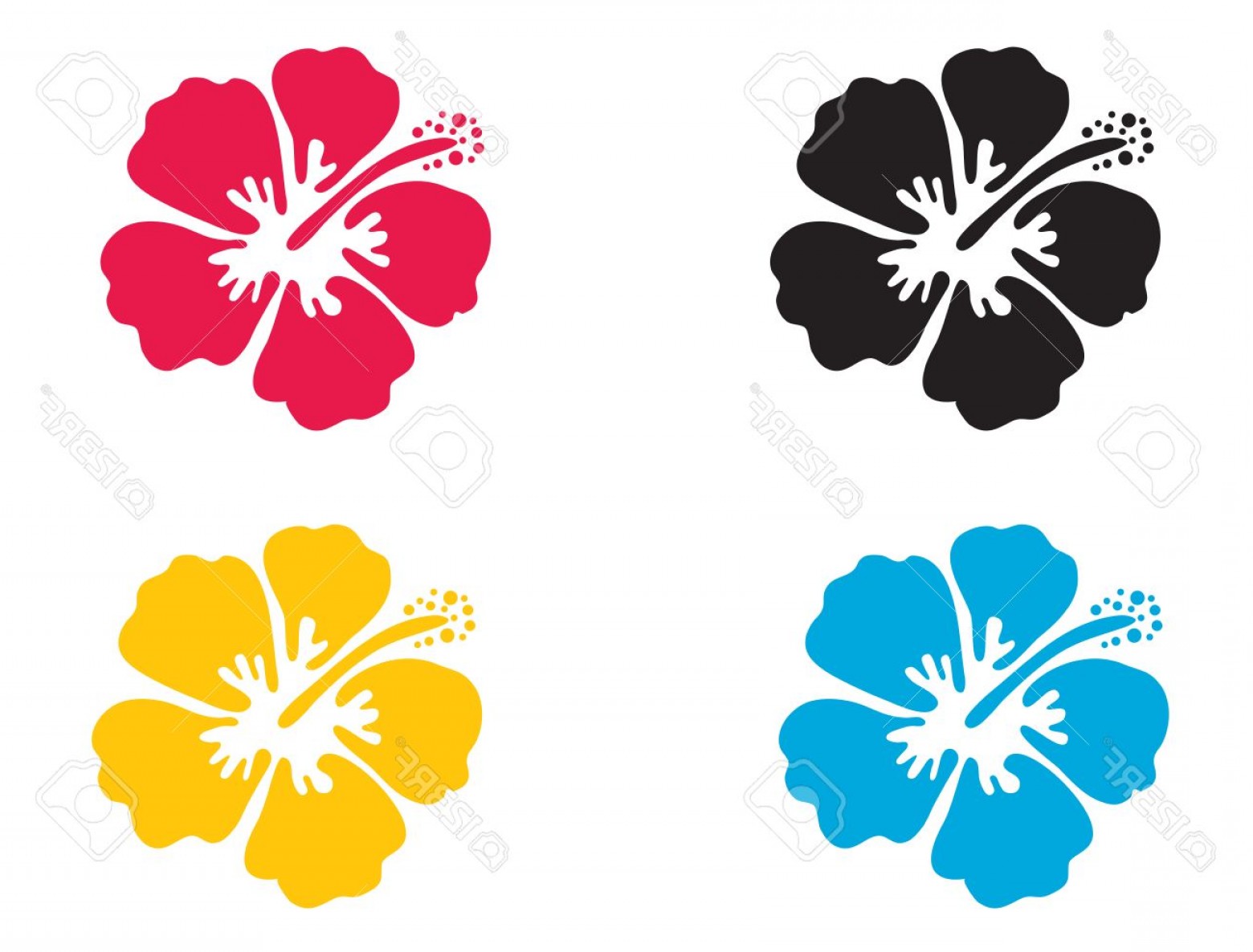 Hibiscus Vector Art at Vectorified.com | Collection of Hibiscus Vector