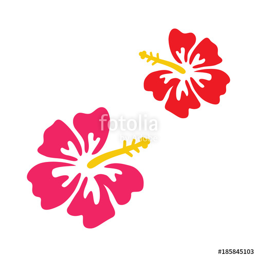 500x500 Pink And Red Hibiscus Vector Graphic Set Of Two Hibiscus Flowers