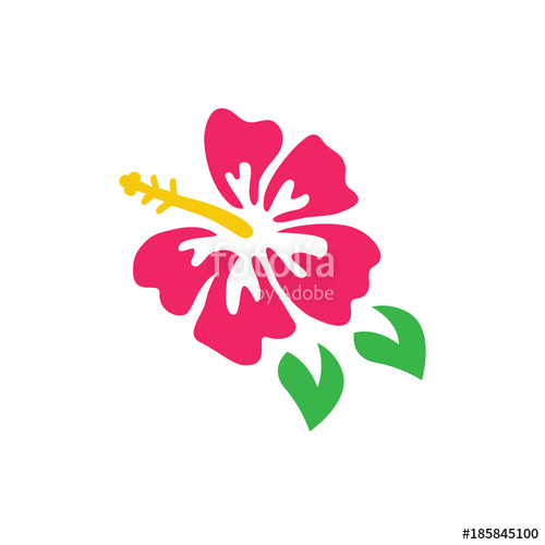 500x500 Pink Hibiscus Vector Graphic Hibiscus Flower Logo Isolated