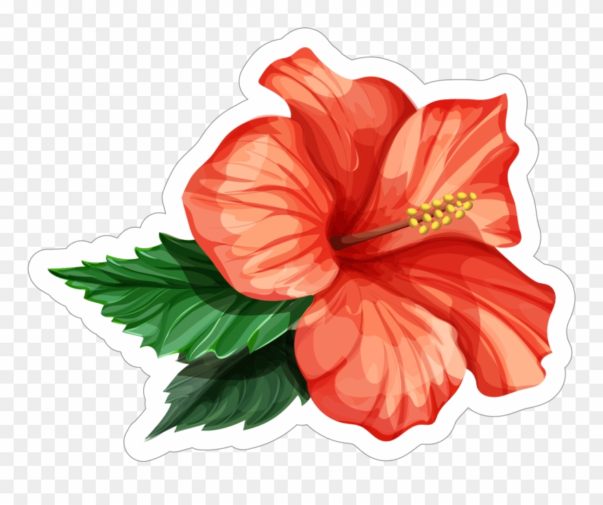 880x737 Red Hibiscus Flower Sticker