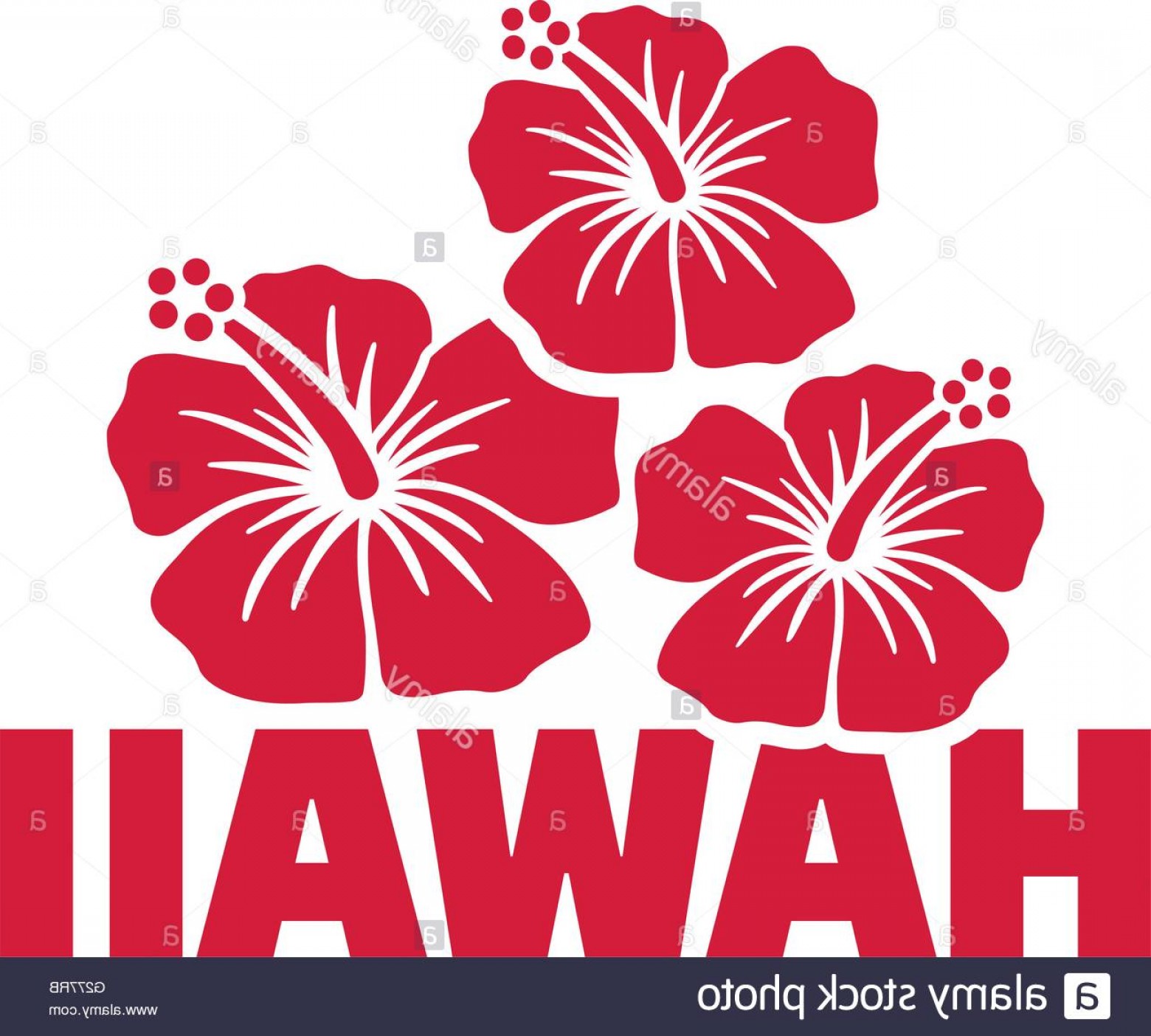 1560x1404 Stock Photo Hawaii Word With Hibiscus Flowers Soidergi