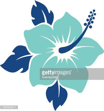 401x428 Hibiscus Flower Editable Vector Illustration Stencils