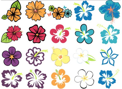 509x371 Color Hibiscus Graphic Creative Vector Free Download
