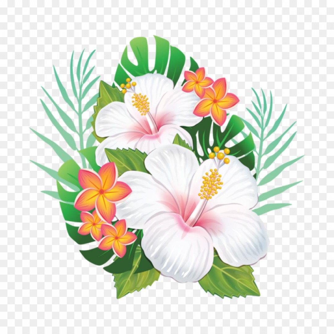 1080x1080 Hawaii State Flower Vector Art Catchsplace