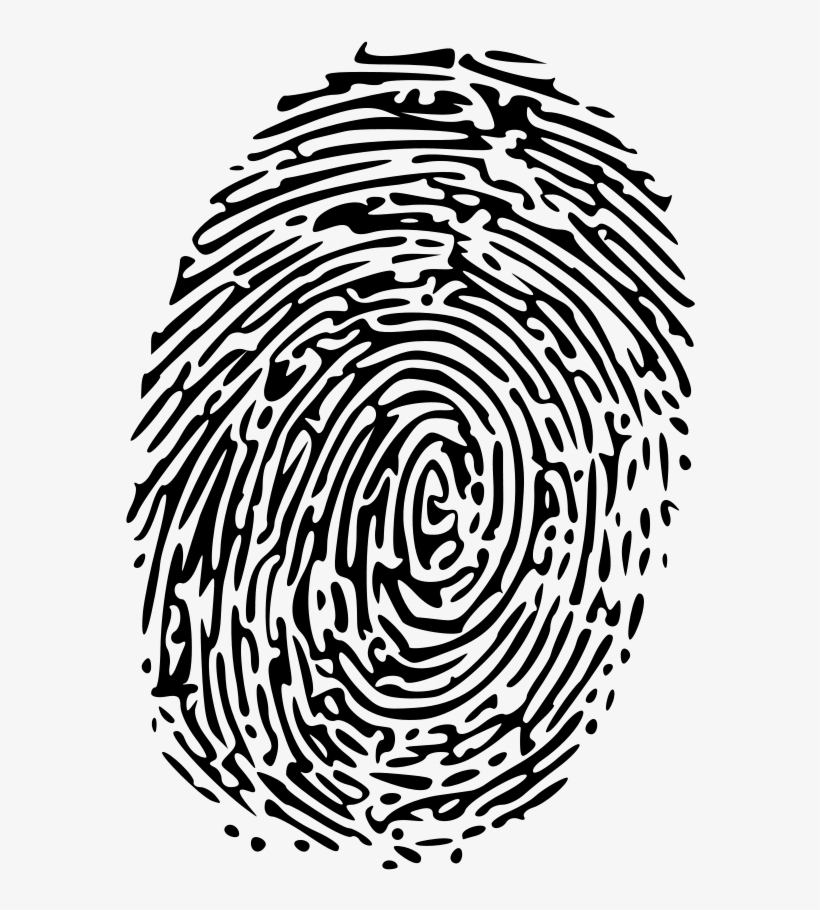 820x910 Fingerprint Vector High Resolution