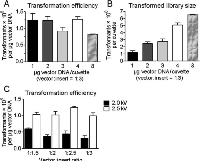 850x687 Increased Dna Input And High Voltage, But Not Vector To Insert