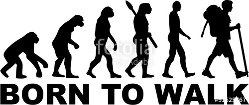 Hiking Born To Walk Evolution Stock Image And Royalty Free Vector 500x212 Hiking Born To Walk Evolution Stock Image And Royalty Free Vector