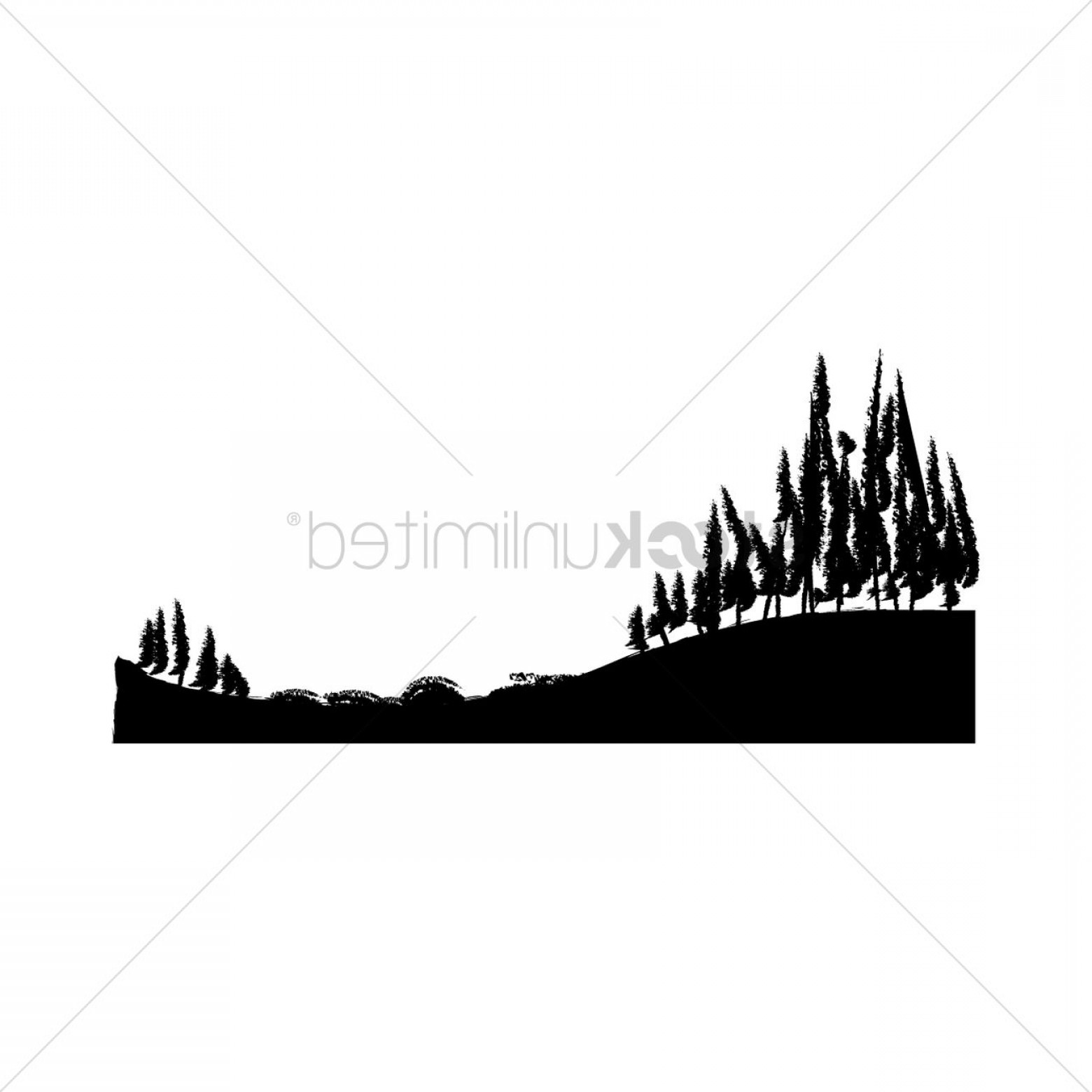 Silhouette Of Trees On A Hill Soidergi 1560x1560 Silhouette Of Trees On A Hill Soidergi