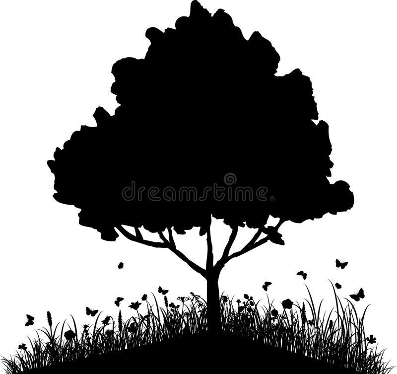 Tree On A Hill Silhouette 800x753 Tree On A Hill Silhouette