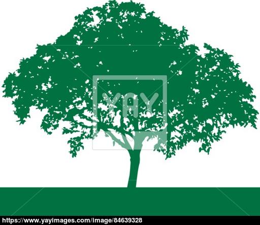 Tree 512x443 Tree